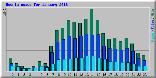 Hourly usage for January 2013