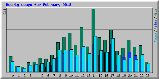 Hourly usage for February 2013