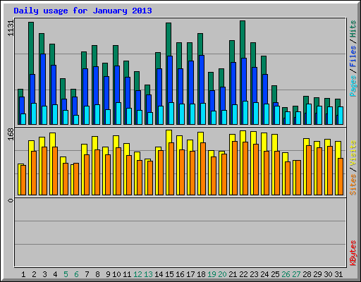 Daily usage for January 2013