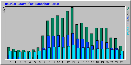 Hourly usage for December 2010