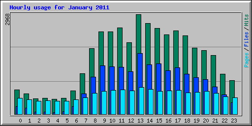 Hourly usage for January 2011