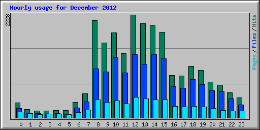 Hourly usage for December 2012